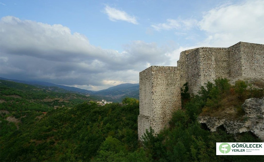 Niksar Kalesi