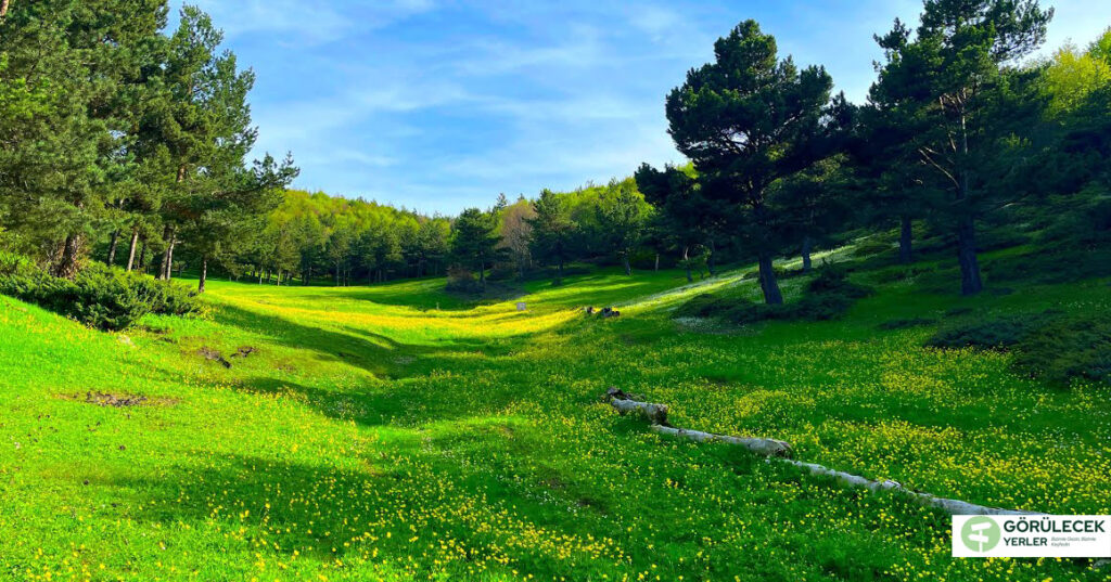 Topçam Yaylası